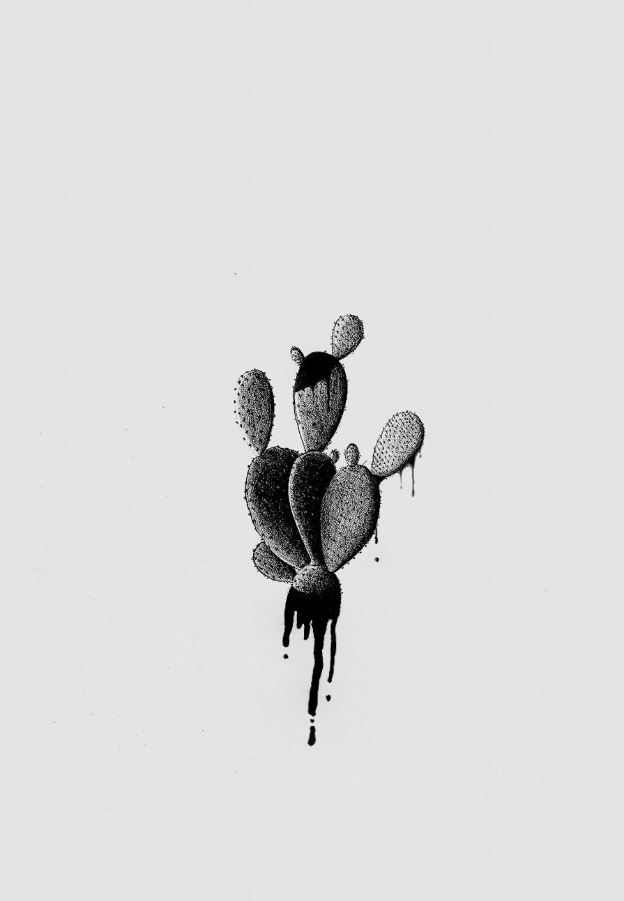 Cactus in Black